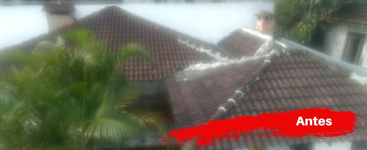 Antes 1