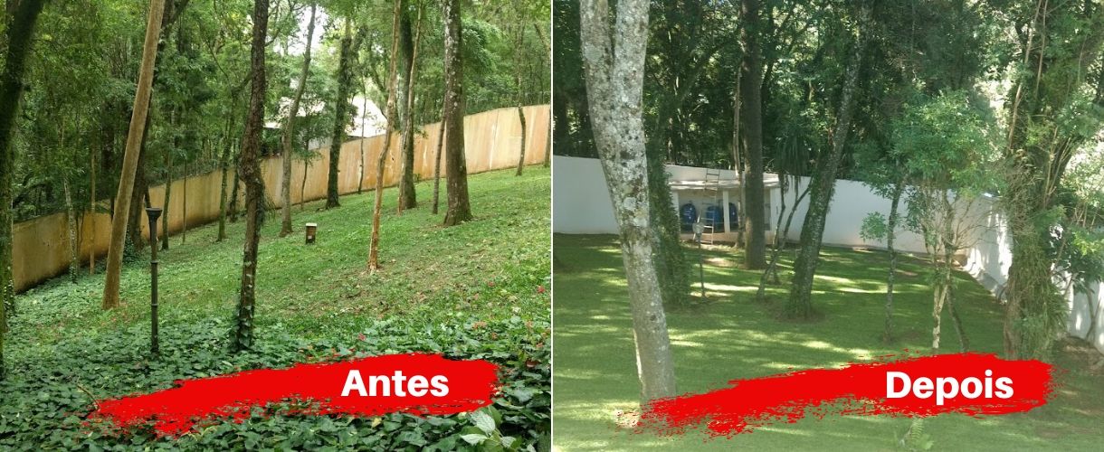 antes e depois 1