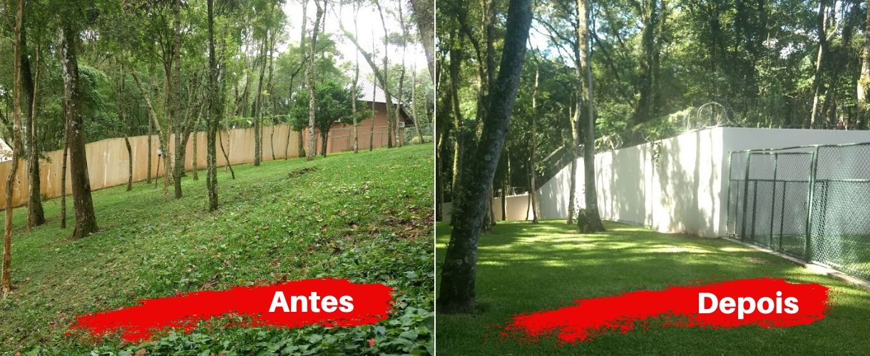 antes e depois 2
