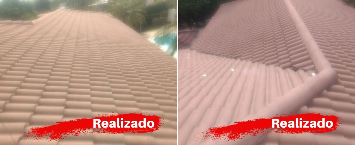 realizado 1