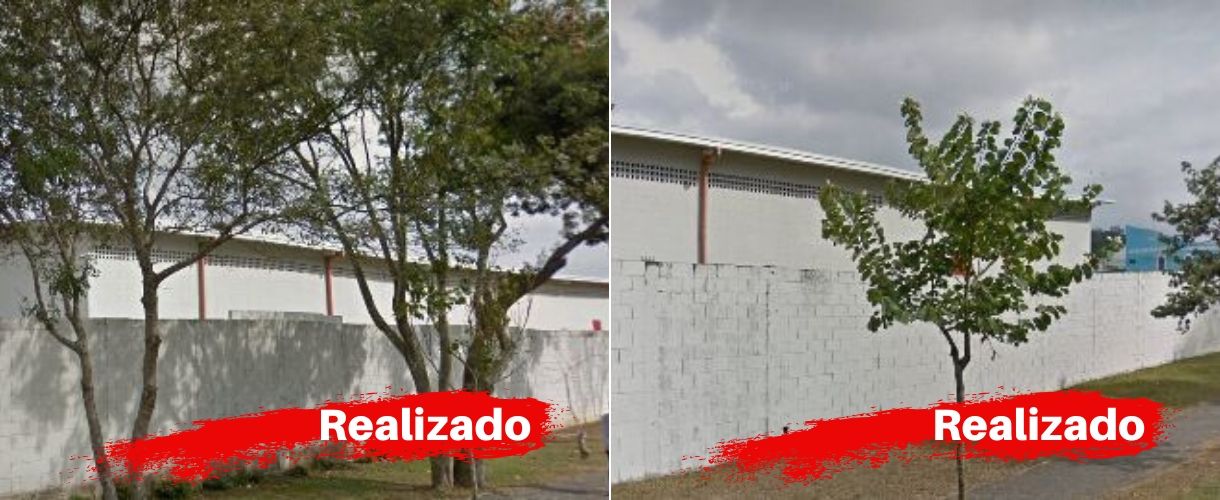 textura muros 4